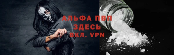 прущие крисы Алзамай