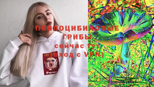 индика Алексеевка