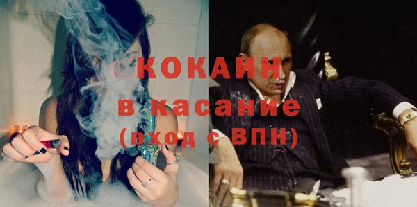 индика Алексеевка